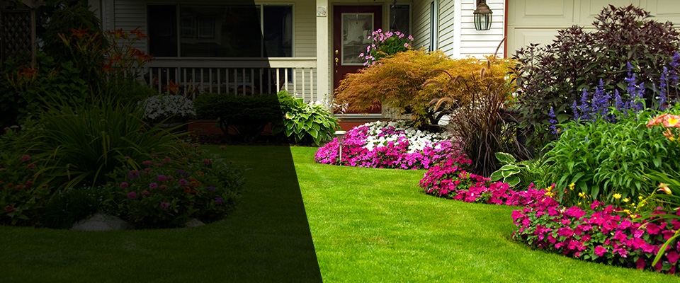 Winder Landscapers